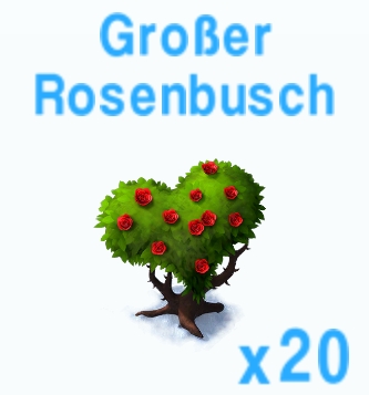 Grosser Rosenbusch         